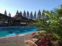 Hotel Sibayak Internasional - Swimmingpools
