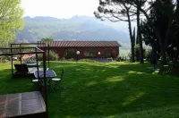 Podere Dell'Anselmo Hôtels à : Montespertoli