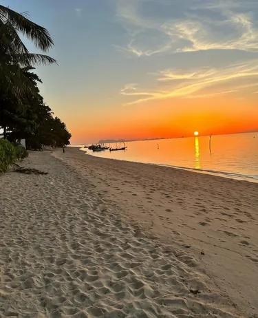 รูปภาพของBlooming Village by Aforetime