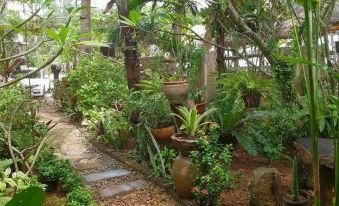 Jungle Bay Resort