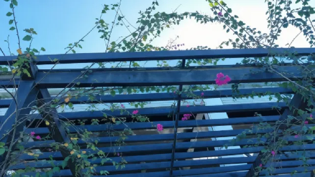 Nasau Resort & Villas