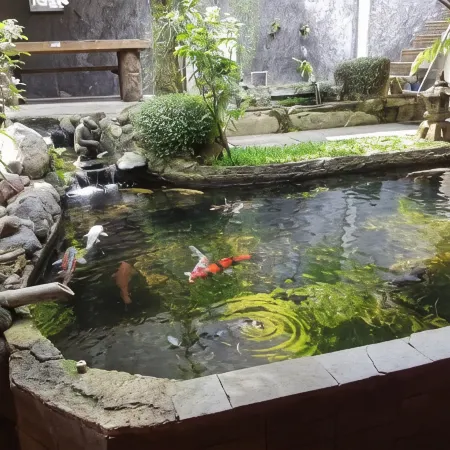 Peye Guesthouse Hoteles en Sukun