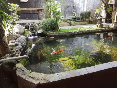 Peye Guesthouse - 2-Star