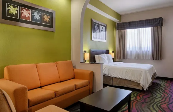 博尼塔斯普林斯北那不勒斯戴斯套房酒店