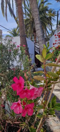 Vacation apartment with panoramic views at Finca Gran Calma - ideal for hikers