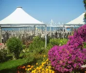 Febeach Hotel - All Inclusive