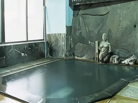 Seisenso Отели рядом с достопримечательностью «Nozawa Onsen Karasawa Ski Center»