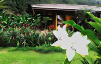 Hideaway Rio Celeste Hotel Hotels in 