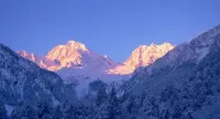 Qing yi Mountain View Residential Hotel - Mountain view