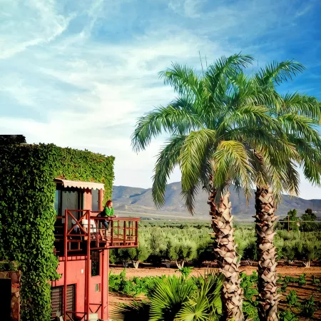 Hotel Boutique Valle de Guadalupe & Spa