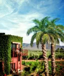Hotel Boutique Valle de Guadalupe & Spa - Romantic