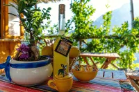 Independent house with access to a panoramic lemon grove on the Amalfi Coast!