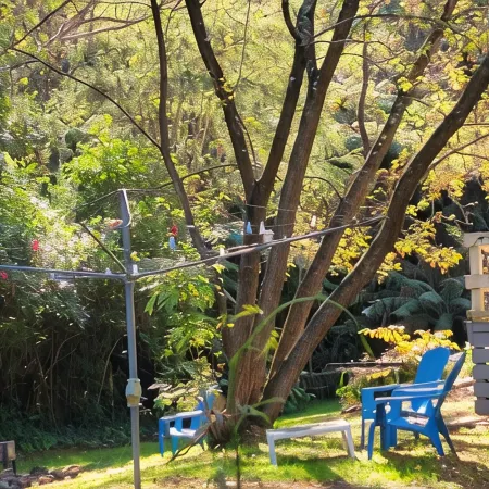 Idyllwylde: Pet-Friendly, Renovated Vintage  Cabin, Close to Town and River