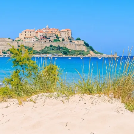 Calvi - Studio 4 pers with garden in the pinewood - 200 m from its magnificent beach