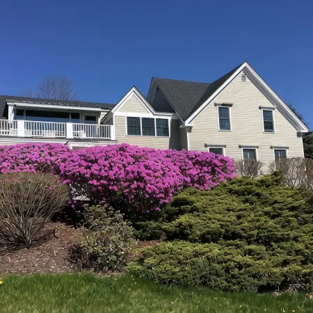 Spacious 1 bedroom apartment in town with a water view!