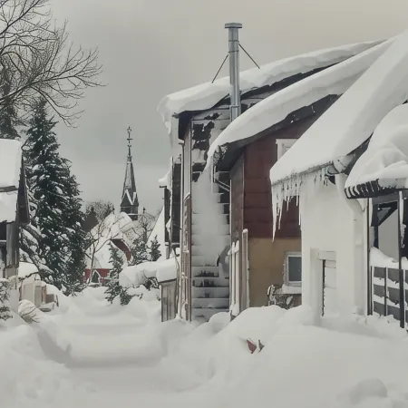Apartment for up to 4 guests in the West Harz, dog allowed