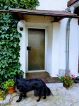 Apartment in a quiet central location in the country - Homestays