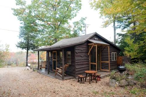 Bower Cabin- Cabin in woods on a remote pond, Romantic getaway, Green living! - Alphydda