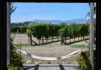 Vineyard Hideaway, peace and tranquility - 3 stelle