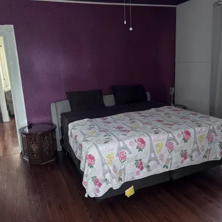 Peace Apartment, upstairs with king size bed.