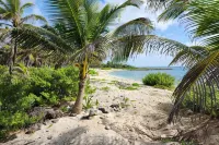 #1 Booked Largest Estate Villa in Tulum Region, Indoor Pool, Gym, Walk to Beach - فلل
