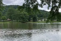 The River's Edge - Rare find along The Allegheny River 3 bedroom/ 1 1/2 bath