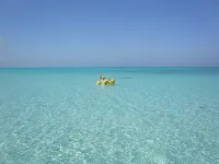Grand Cayman tranquility at its best! Hotels in Rum Point