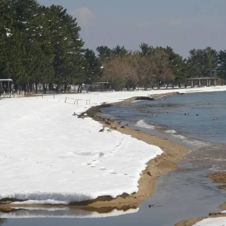 Shirahamaso