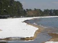 Shirahamaso