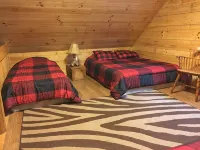 Romantic getaway in Southeastern Ohio.  Family and pet friendly. - Wifi