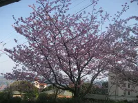 Genbaso - น้ำพุร้อน