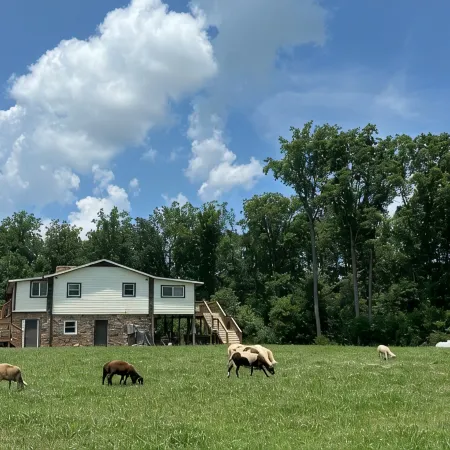 Log Cabin at the Farm