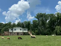 Log Cabin at the Farm - 3-Star