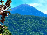 Holi Homestay Trawas Hotels in Trawas