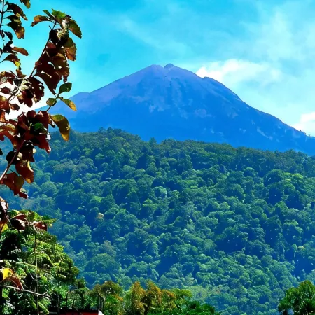 Holi Homestay Trawas
