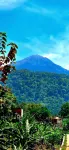 Holi Homestay Trawas