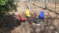 Grandma’s House - Minutes from Unc, Firepit, Ninja Creami Available to Rent