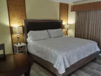 Dunedin Condo on the Water Hotels in Dunedin