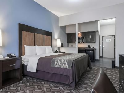 Comfort Inn & Suites I-10 Airport