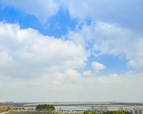 上海東方酒樓（浦東国際空港） Photos
