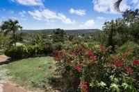 Las Mariposas - Homestays
