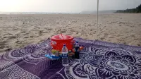 Sea Winds - Beach
