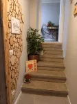 Lucia's Wood House