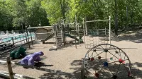 Private Wooded Escape + Fire Pit and Screen Porch - Homestays