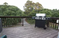 Handicap Friendly Pets Allowed Beach House - Ocean Across the Street with Elevator!