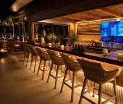 Palmera Beach - bar
