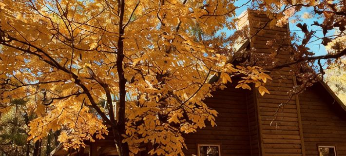 Ticket to the great outdoors! Hotels in Le Flore County