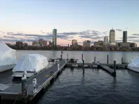 Charming 1Br w/ Fireplace Near Fenway & Longwood - 3-Star