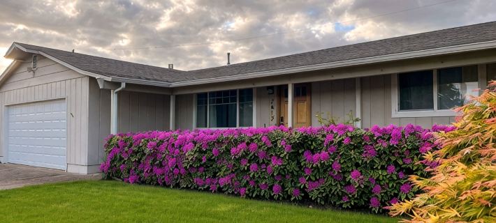 Outdoor Living and Indoor Bar - Entire house - walk to Autzen Stadium Hotels in Eugene