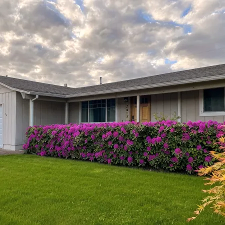 Outdoor Living and Indoor Bar - Entire house - walk to Autzen Stadium